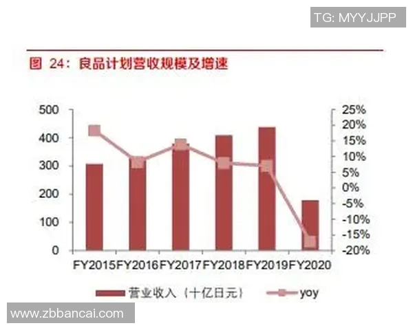 杭州网球队配合分析:战术执行与团队默契的深度对比探讨MBA